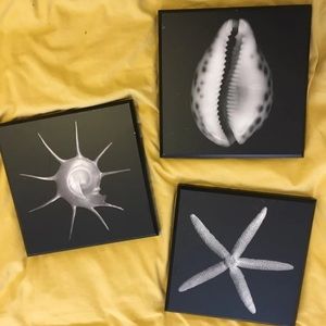 Jonathan Shuff photography bundle